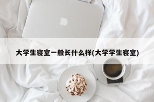 大学生寝室一般长什么样(大学学生寝室)