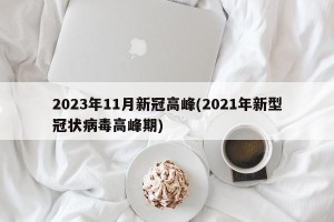 2023年11月新冠高峰(2021年新型冠状病毒高峰期)