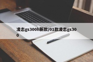 凌志gs300h新款/01款凌志gs300