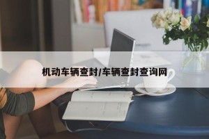 机动车辆查封/车辆查封查询网